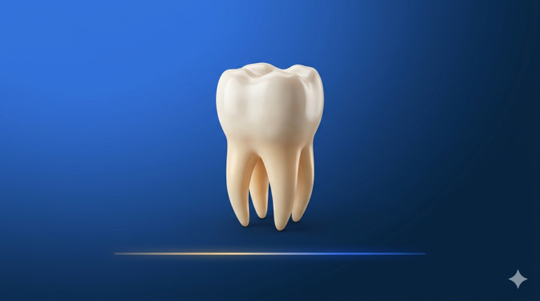 How Long Does a Root Canal Last?